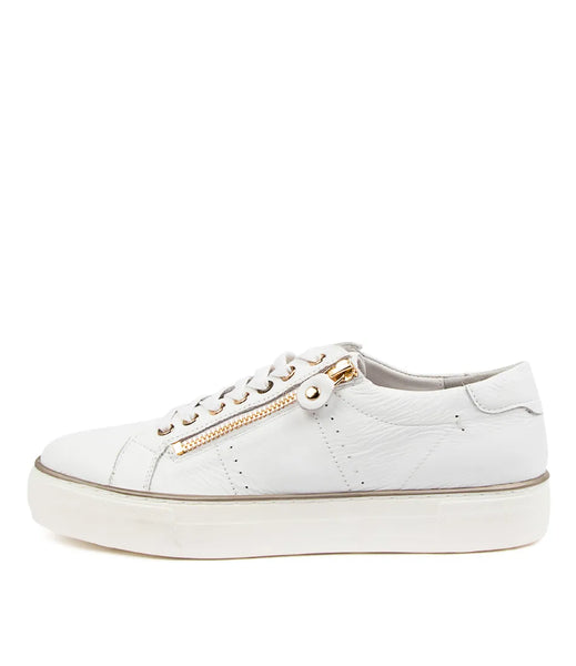 Django & Juliette Froggy ~ Navy ~ White ~ Leather